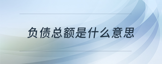 負債總額是什么意思
