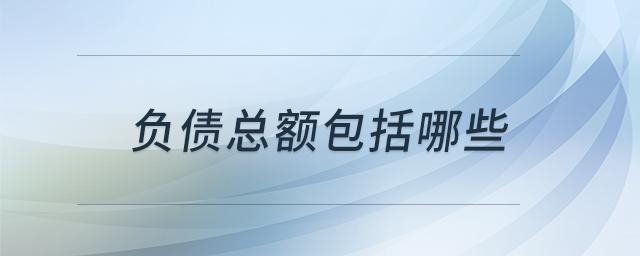 負(fù)債總額包括哪些