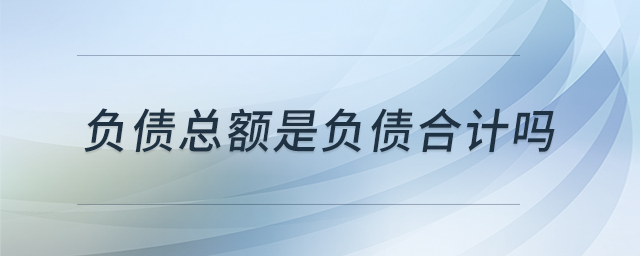 負債總額是負債合計嗎