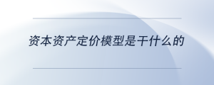 資本資產(chǎn)定價模型是干什么的