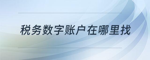 稅務(wù)數(shù)字賬戶在哪里找