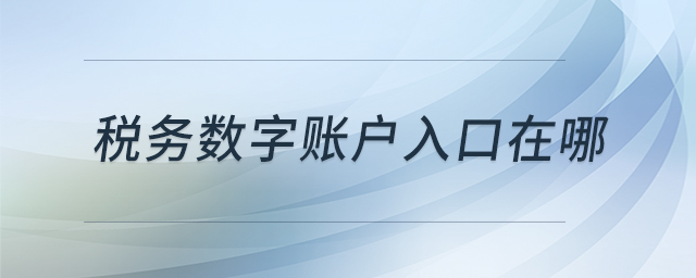 稅務(wù)數(shù)字賬戶入口在哪