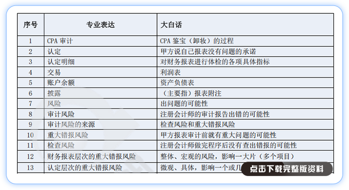 審計(jì)白話寶典