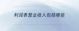 利潤表營業(yè)收入包括哪些