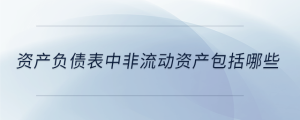 資產(chǎn)負(fù)債表中非流動(dòng)資產(chǎn)包括哪些