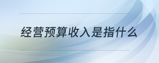 經(jīng)營預(yù)算收入是指什么