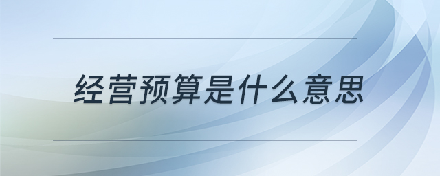 經(jīng)營預(yù)算是什么意思
