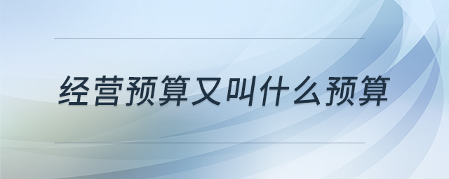 經(jīng)營(yíng)預(yù)算又叫什么預(yù)算