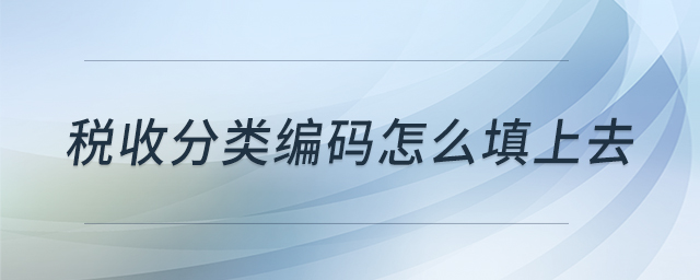 稅收分類編碼怎么填上去