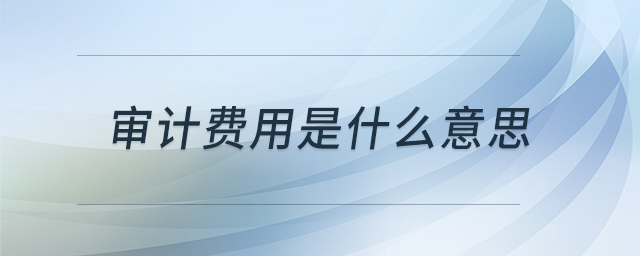 審計(jì)費(fèi)用是什么意思