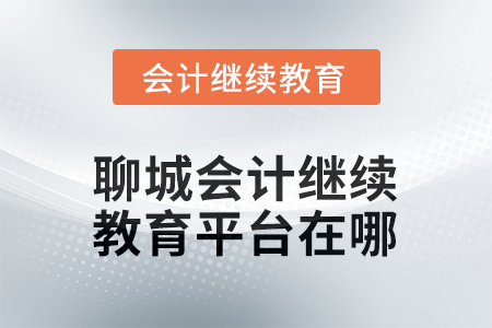 2026年聊城會計人員繼續(xù)教育平臺在哪？