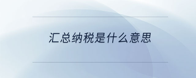 匯總納稅是什么意思