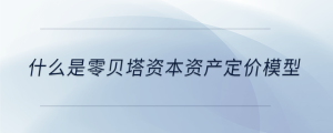 什么是零貝塔資本資產(chǎn)定價(jià)模型