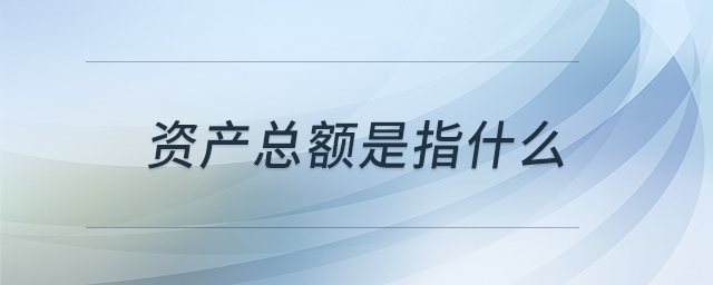 資產(chǎn)總額是指什么