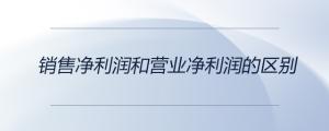 銷(xiāo)售凈利潤(rùn)和營(yíng)業(yè)凈利潤(rùn)的區(qū)別