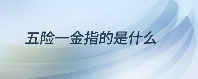 五險(xiǎn)一金指的是什么