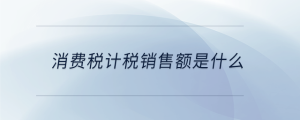 消費(fèi)稅計(jì)稅銷(xiāo)售額是什么