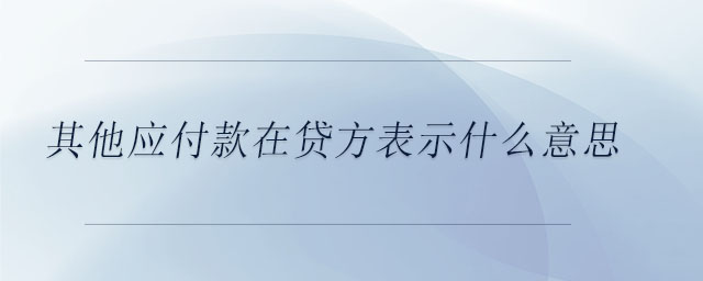 其他應付款在貸方表示什么意思