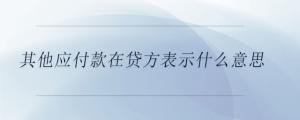 其他應付款在貸方表示什么意思