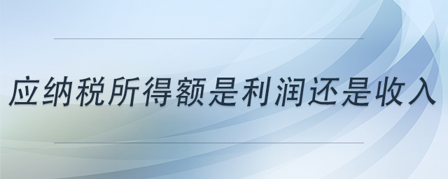 應(yīng)納稅所得額是利潤還是收入