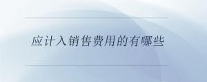 應(yīng)計(jì)入銷售費(fèi)用的有哪些