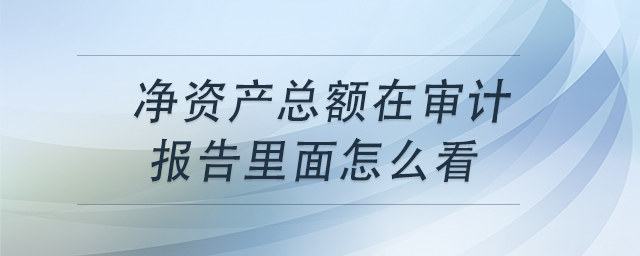 凈資產(chǎn)總額在審計(jì)報(bào)告里面怎么看