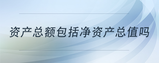 資產(chǎn)總額包括凈資產(chǎn)總值嗎