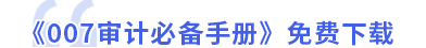 007審計(jì)必備手冊