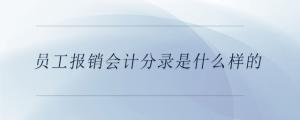 員工報銷會計分錄是什么樣的