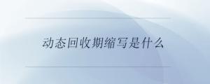 動態(tài)回收期縮寫是什么