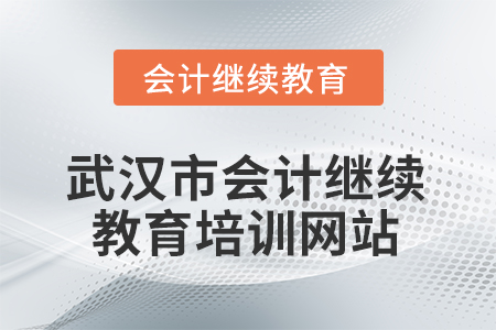 2026年湖北省武漢市會計繼續(xù)教育培訓(xùn)網(wǎng)站在哪？