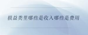 損益類里哪些是收入哪些是費(fèi)用