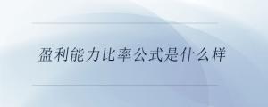 盈利能力比率公式是什么樣